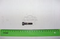 болт 240-1006325 спец.фланца распредвала(М8х1.25 L35 кл.12)
