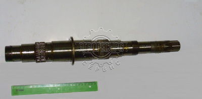 вал 80С-1701032 (МТЗ-1221) первичный