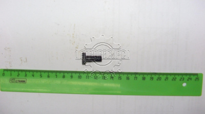 болт штуцер М8х1 одинарный(М8х1 L20 кл.13)