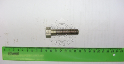 болт 70-3503019 рычага тормозов(М12х1.25 L55 кл.19)